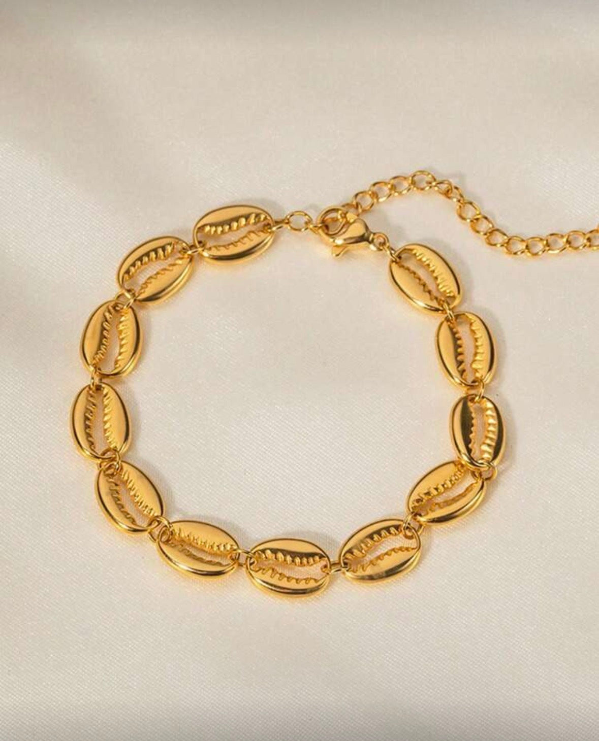 Bracelet coquilles bouche, acier inoxydable